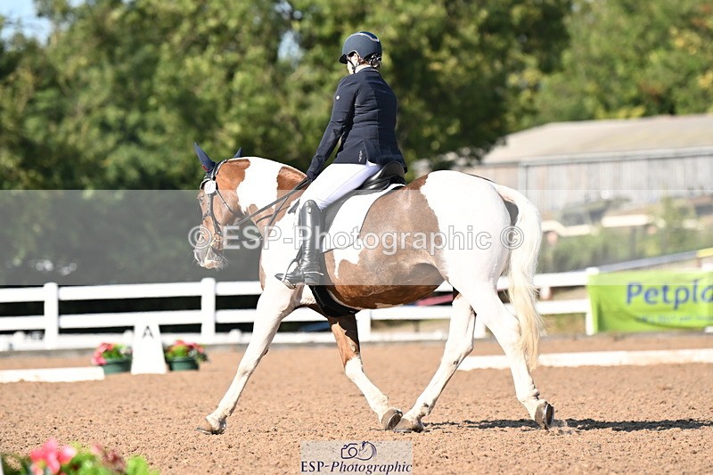 240816A-165139-06294 - 307-Rachel.Cook-Tiger.lily.vi