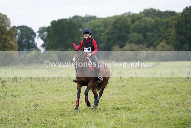 _DSC8048 - Time at Photographer 11:57 to 12:36