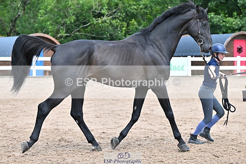240718A-105309-01631 - Trot Up 1pm to 2pm