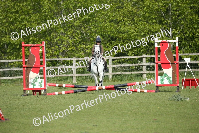 20260426-0112 - Class 13 - Rookie Jumping 50cm