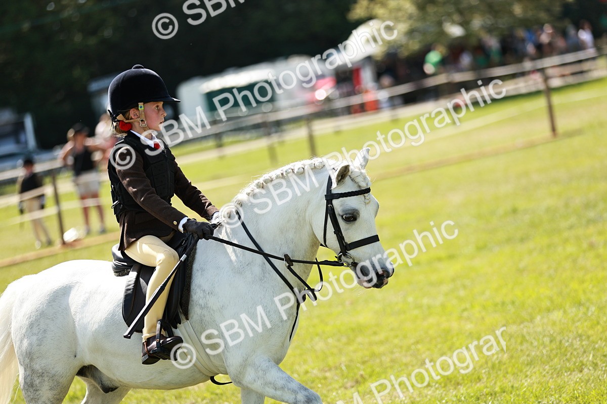 SBM_13548 - Class 108-109 - BSPS LIHS Open Gradle & Nursery Stakes