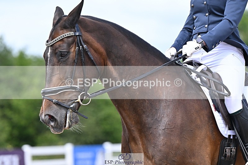 240622A-125825-10311 - Cls 30 BD Elementary 53