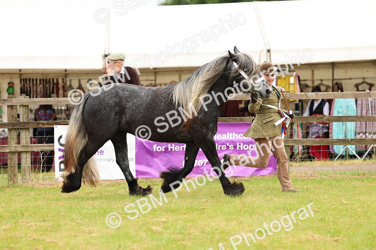 SBM_00637 - Class 58-67 - M&M Non Welsh Pony In hand