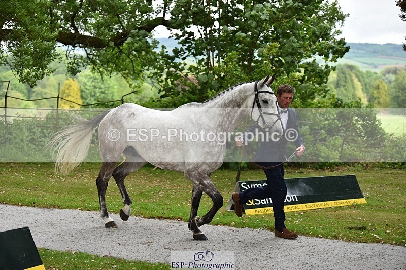 240522-150752-00108 - 369-STARMAN_III-Matthew_Hecking