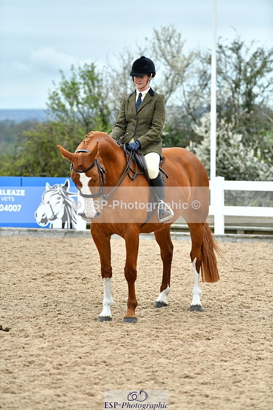 230416A-143215-05262 - Cls 74 Warmblood