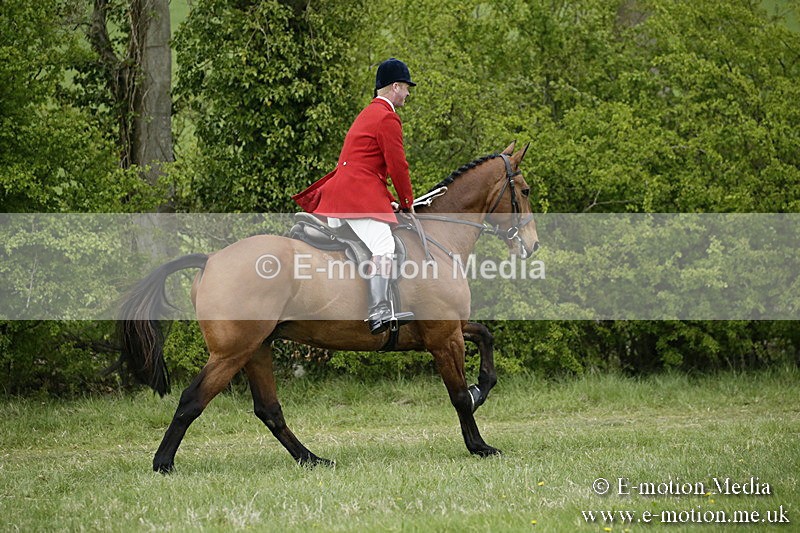 PtP 170417 544 - Old Berks Point-to-Point Lockinge 17/04/17