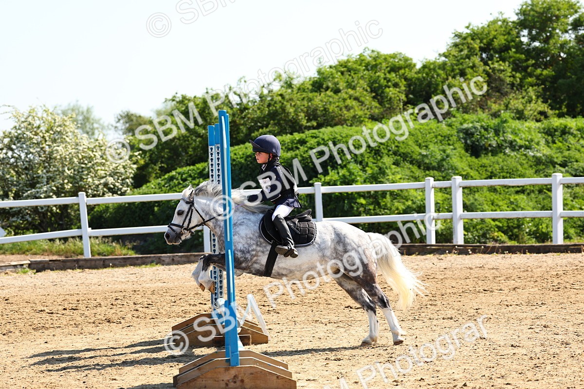 SBM_006756 - Class 2 - 50cm