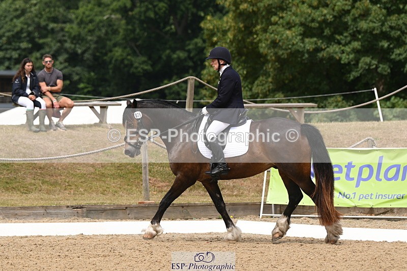 250720A-115742-10090 - 079-Amanda.Williams-Llanarth.Westminster