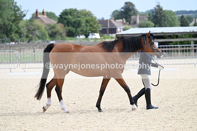 WJ7_1792 - In Hand