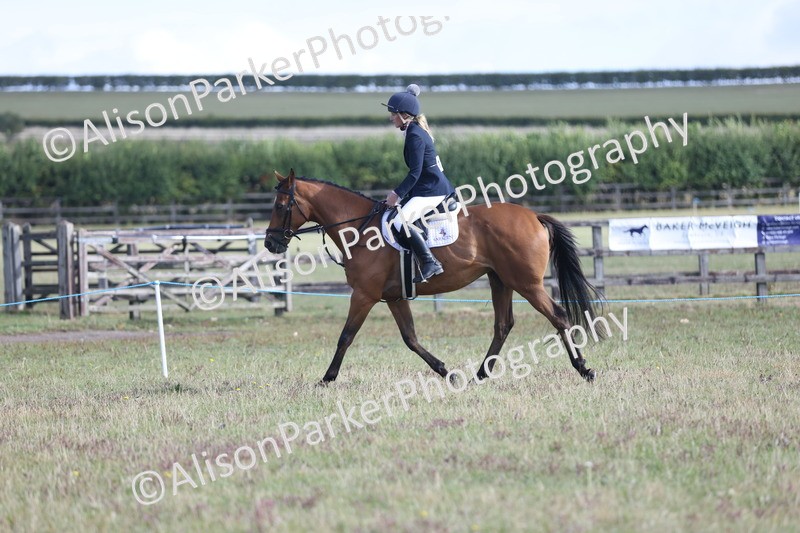 20250831-0869 - Class 14 - Ex Racehorse