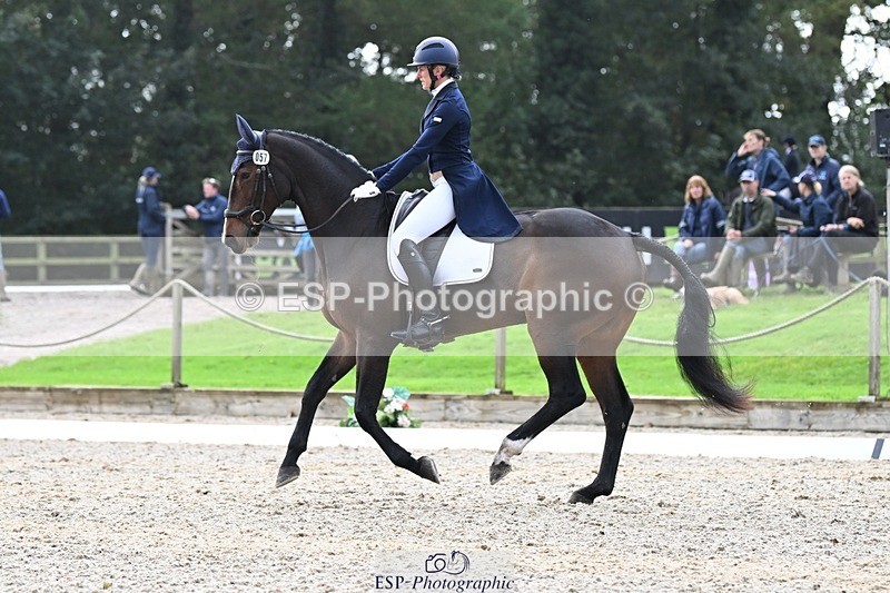 231019-145306-04301 - 057-OVERTON.TILANA'S.GOLD-Claire.Deuten-DR