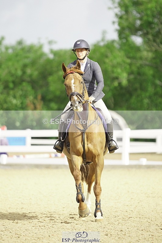 230729A-093328-04342 - Cls 20 British Novice & 90cm Open