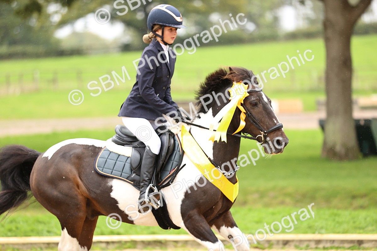 SBM_69075 - J18 - Junior Pony 85cm championship