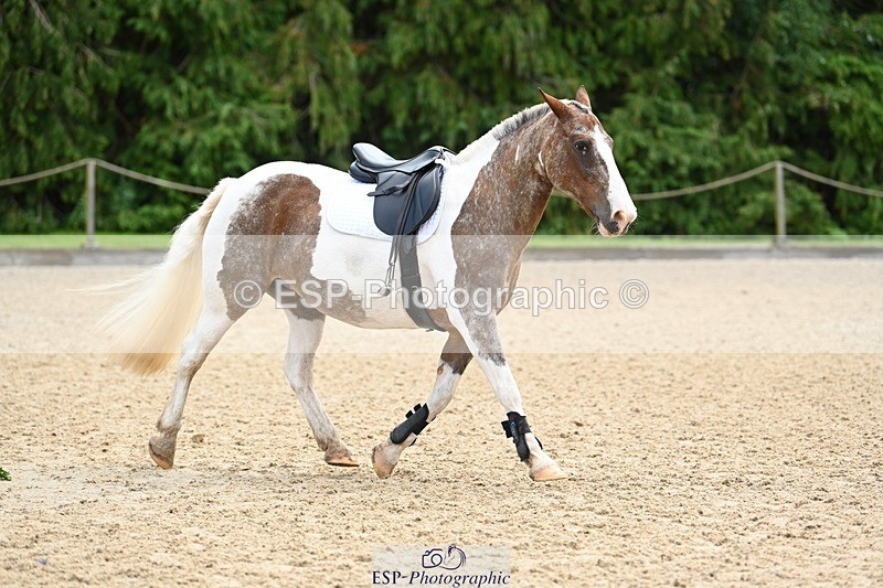 230826-130116-19124 - Round 2 Start - 13.40 coursewalk