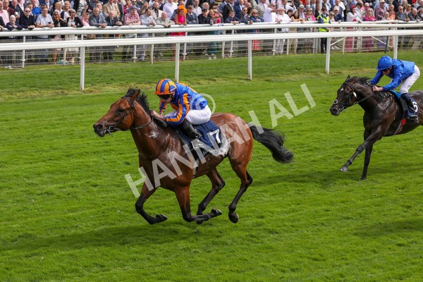 210824-Race 2-The Lion In Winter-7218 - Race 2 2.25pm Tattersalls Acomb Stakes