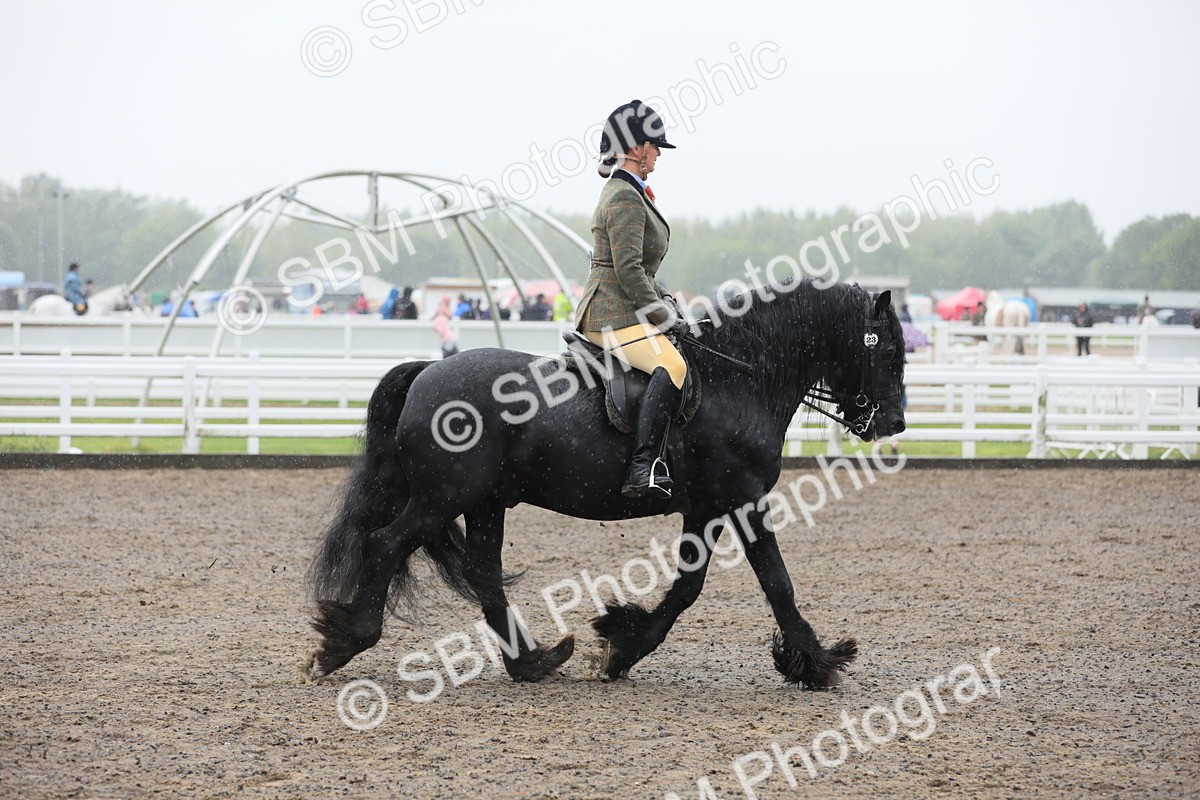 SBM_20579 - Class 804 - Ridden Veteran Pony