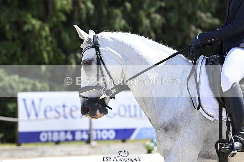 250810A-135439-06793 - 075-Amelia.StruelTanzanite.Silver.Lining