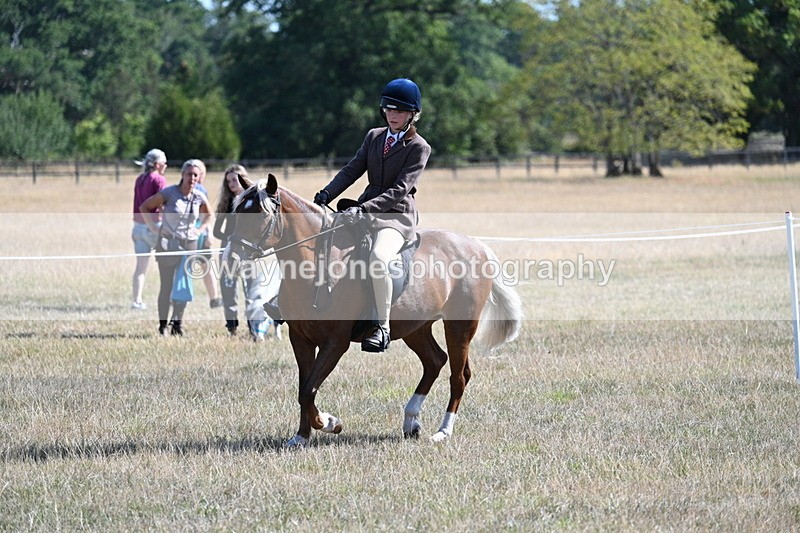 WJ7_4001 - Class 9 Mountain & Moorland Ridden
