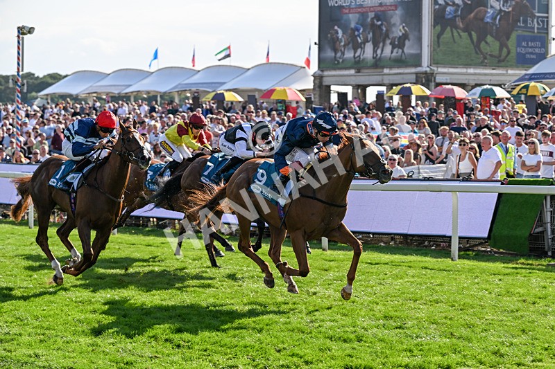 220826-Race 6-Sale Shark-1564 - Race 6 16.45pm Julia Graves Roses Stakes