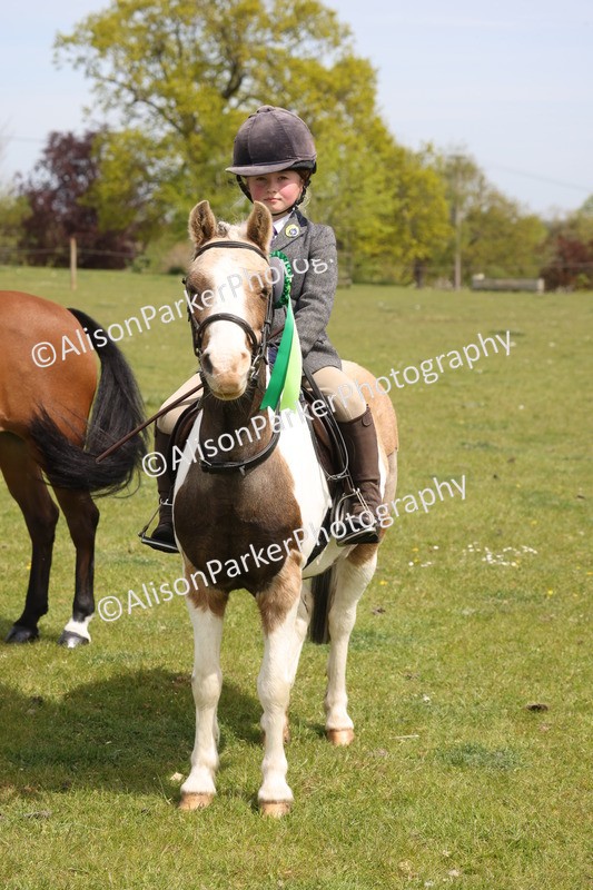 20260426-4020 - Class 33 - Best Pony 14.2hh and Under