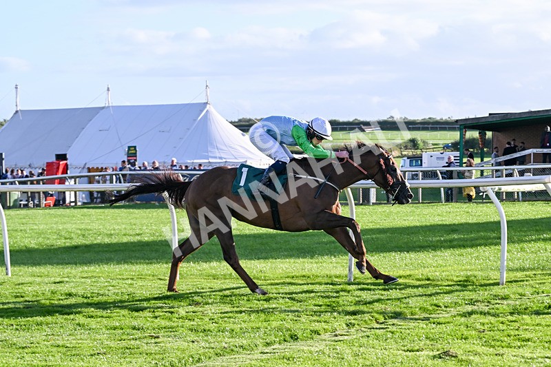 080926-Race 8-Zimmerman-3537 - Race 8 5.51pm Racing Again 30th September Amateur Jockeys' Handicap