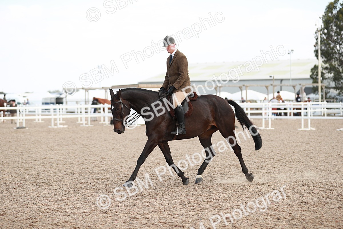 SBM_15522 - Class 213 Ridden Hunter -Large