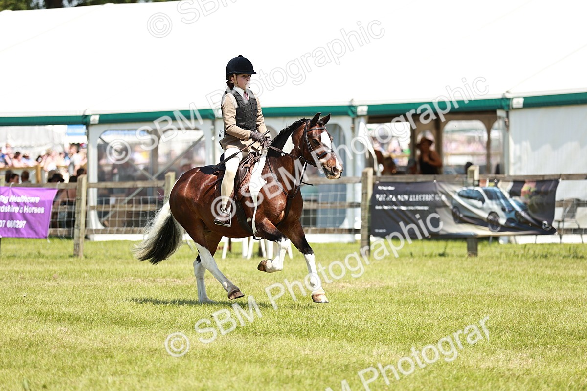 SBM_15472 - Class 108-109 - BSPS LIHS Open Gradle & Nursery Stakes