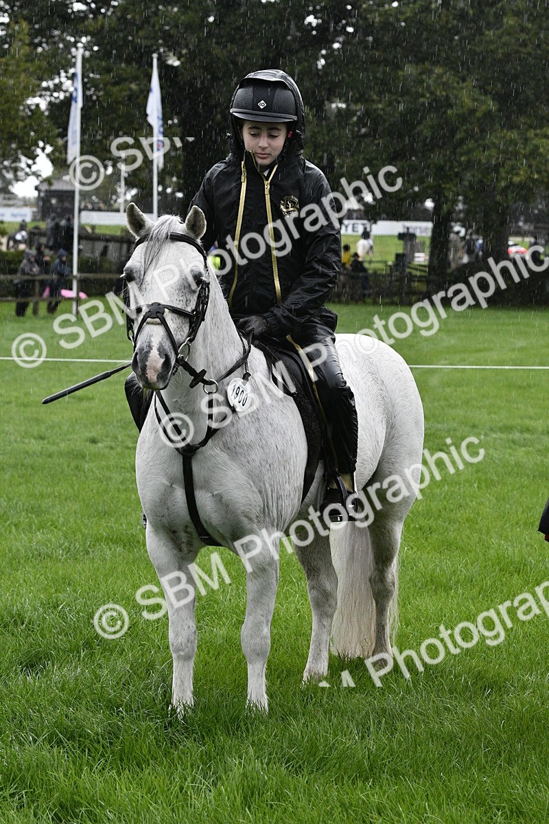 SBM_35563 - S30 - Nursery Stakes Working Hunter Pony