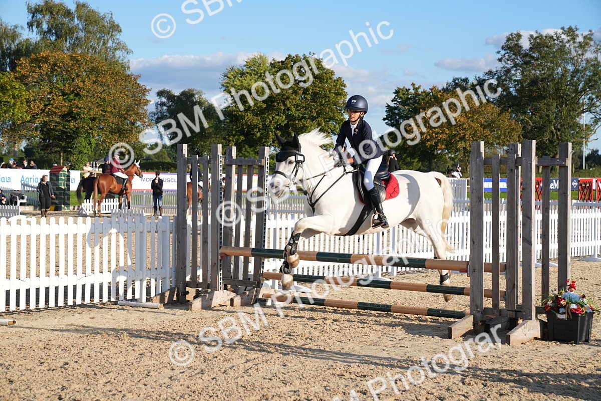 SBM_29980 - J44 - Super Speedy Scurry Open - 70cm