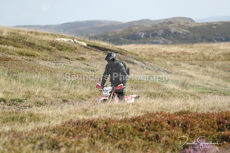 SPXX0052 - Trail bikes