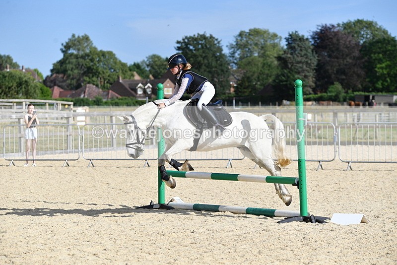 WJ5_5885 - Poles off the floor