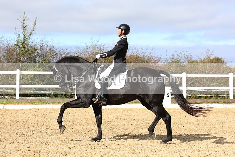 3E7A9747 - Class 13: FEI Prix St Georges 2026