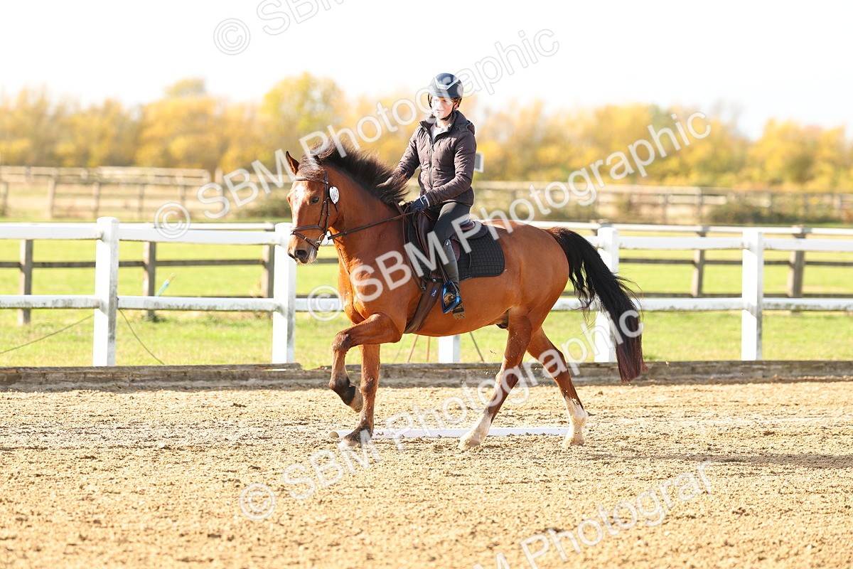 SBM_001226 - Class 13-4-9 - DR P3 CT P3 70cm CT PYO