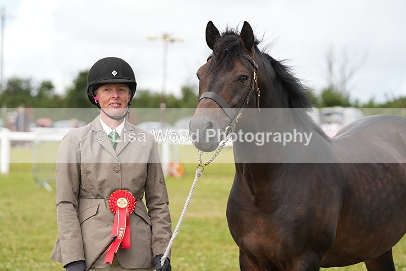 DSC05849 - Class 51: NPS M&M 4 years and over Large Breeds