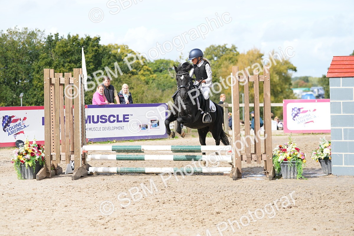 SBM_40762 - Supreme Championship Pony 50-55cm