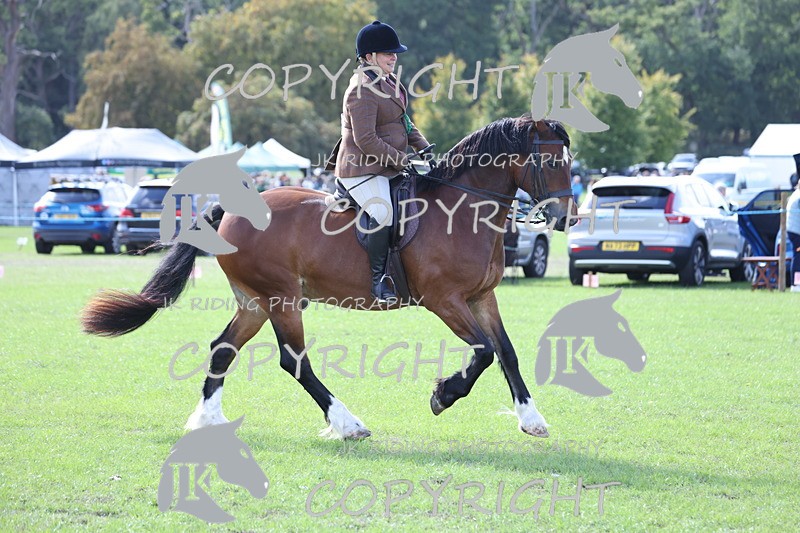 APP_3739 - Class 12 M&M ridden