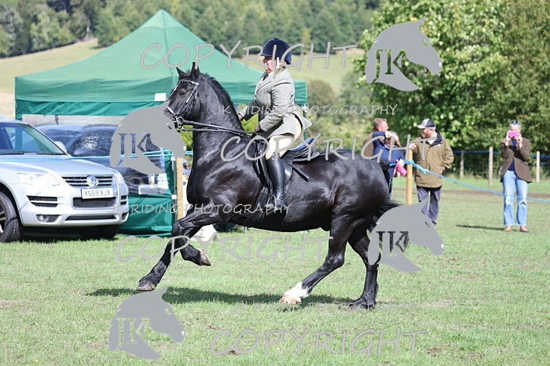 APP_3556 - Class 12 M&M ridden