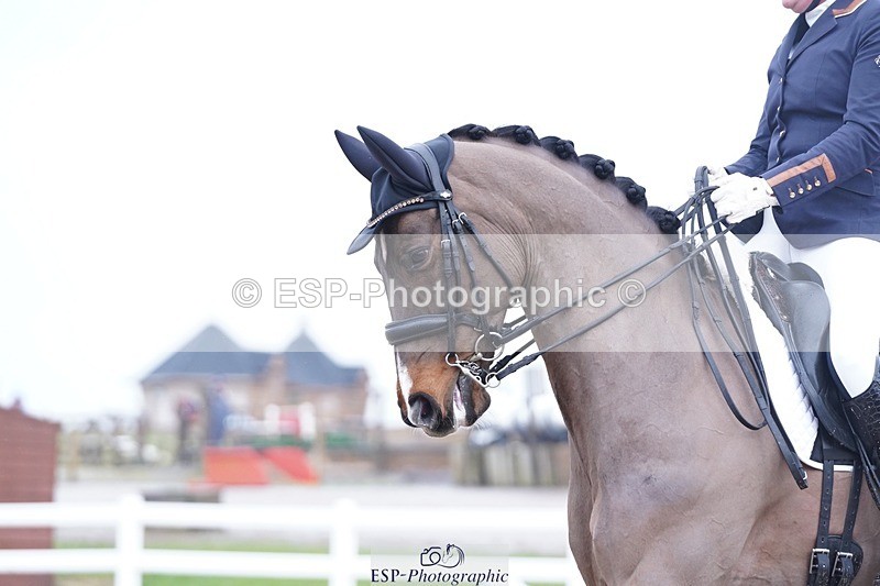 250215-141202-04206 - 236-Georgia.Stokes-SOS.San.So.Amorous