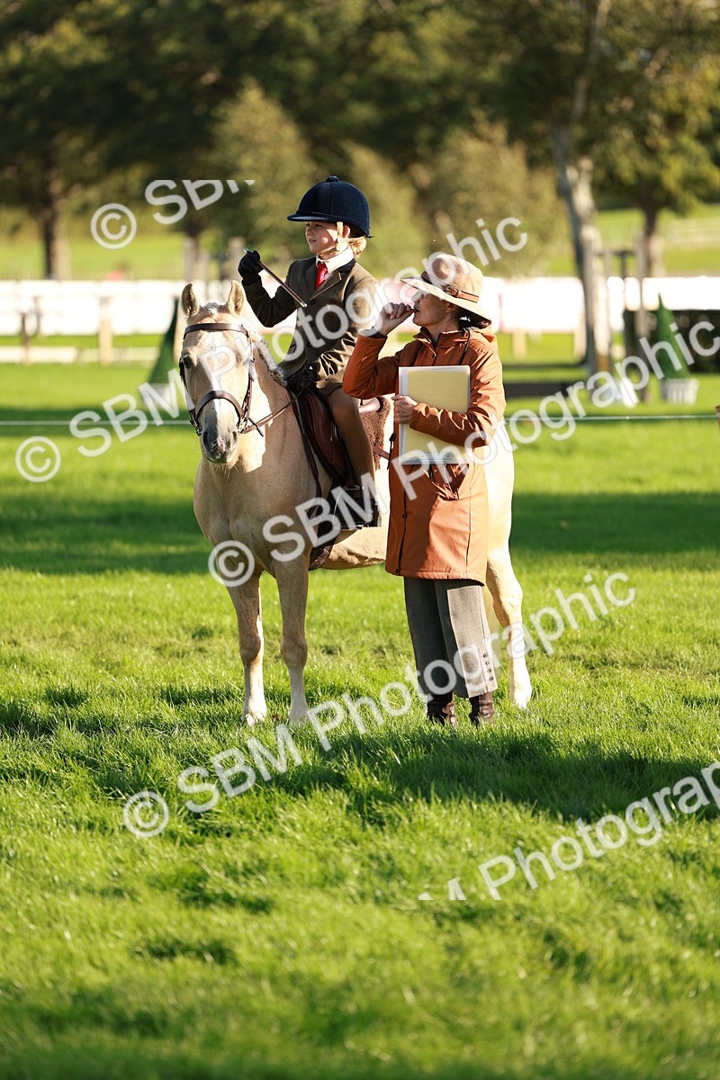 SBM_28751 - S7 - Novice & Newcomer Ridden Pony