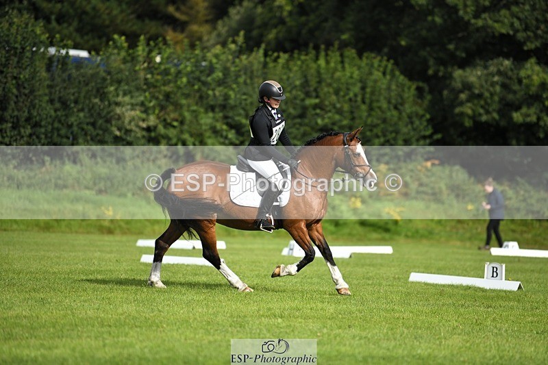 230826-094714-15231 - Sections C & D 9 to 10am