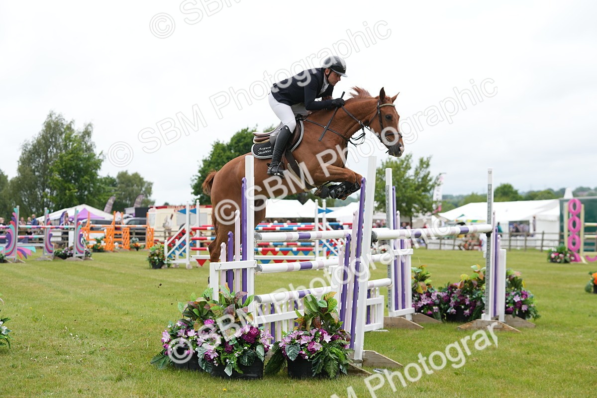 SBM_03022 - Class 201 - British Horse Feeds Speedi Beet Horse of the Year Show Grade  C