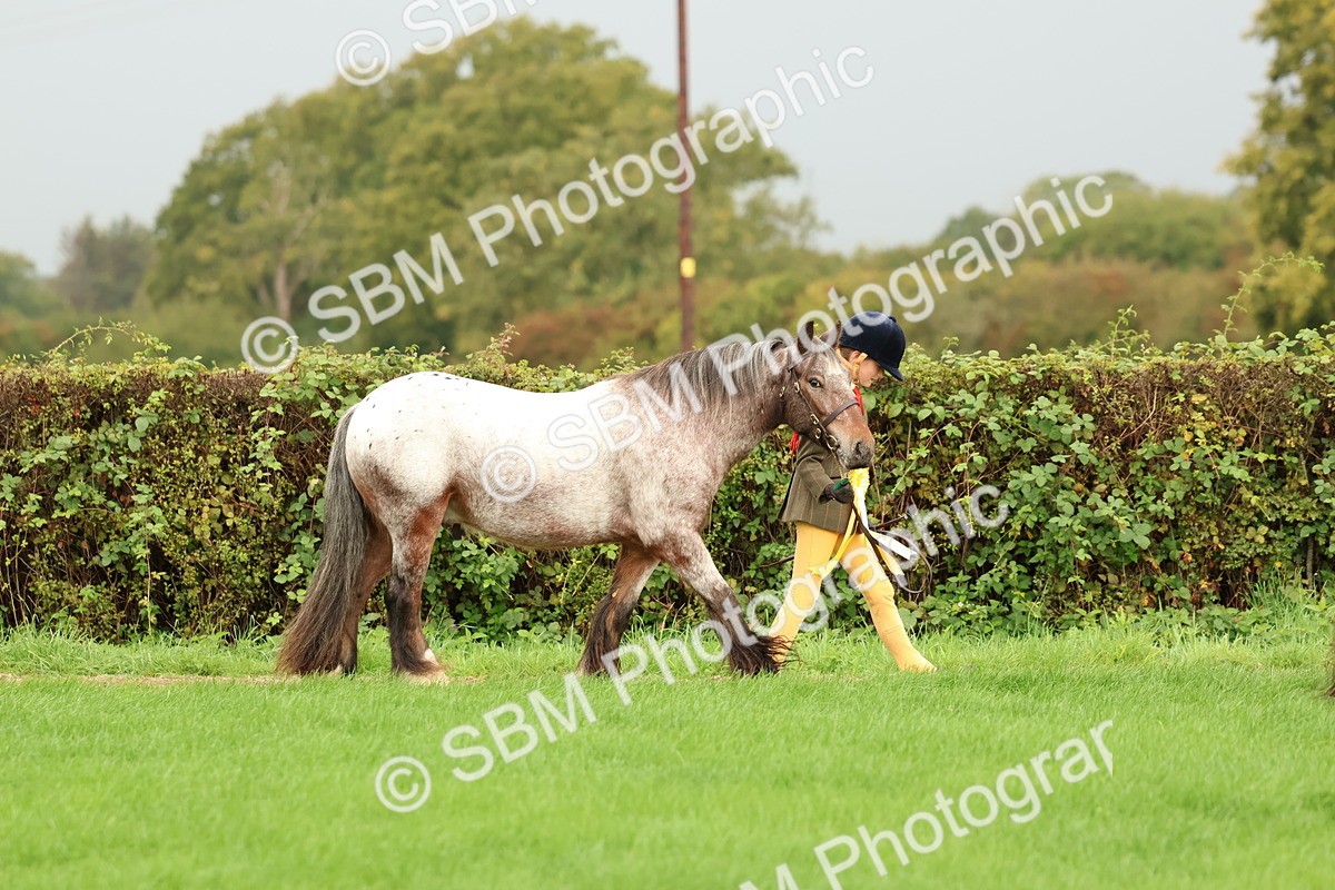 SBM_32903 - S8 - Best Turned Out