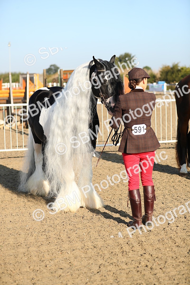 SBM_00010 - Class 40 Best Turned Out IH