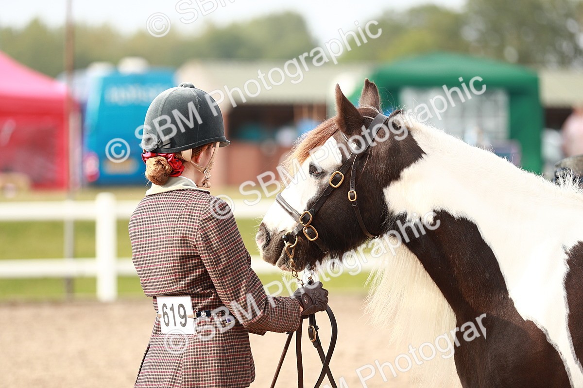 SBM_09555 - Class 201 Best Turned Out IH