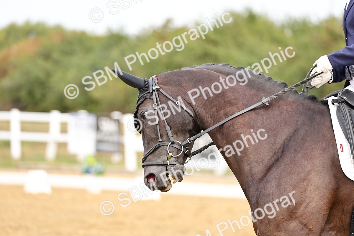 SBM_012242 - Class 2 - Prelim 5