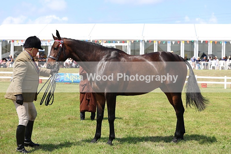 3E7A1168 - Class 8: Open Riding Horse/Hack