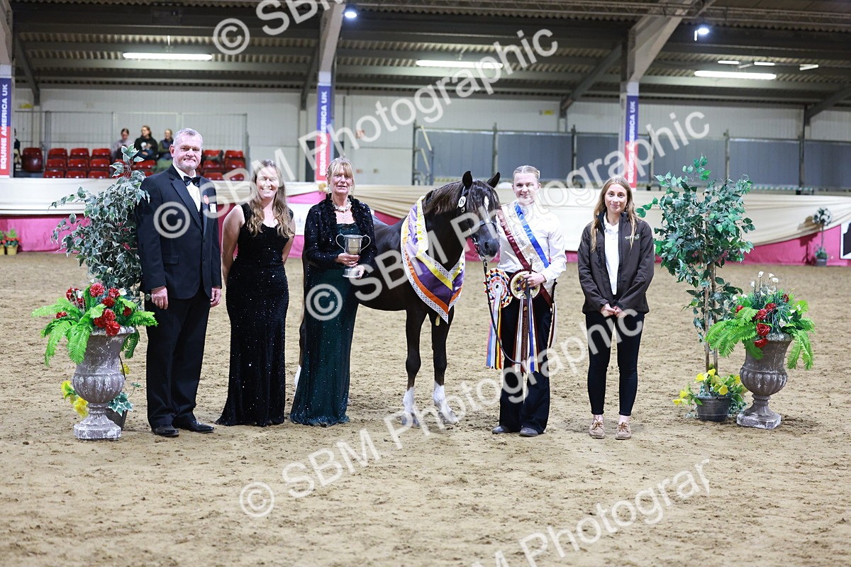 SBM_21079 - Class P - M&M Champs