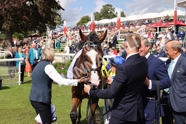 yr20082022r2-52 - Race 2 2.35pm Sky Bet Melrose Stakes