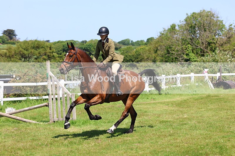 3E7A7292 - Class 30: Novice Working Hunter