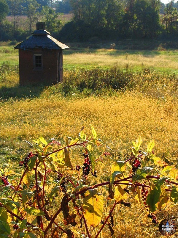  - Clarktown Farm*